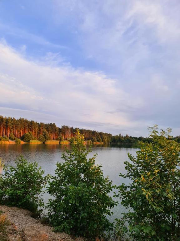 Agroturystyka U Siwego Rokitki  Екстериор снимка