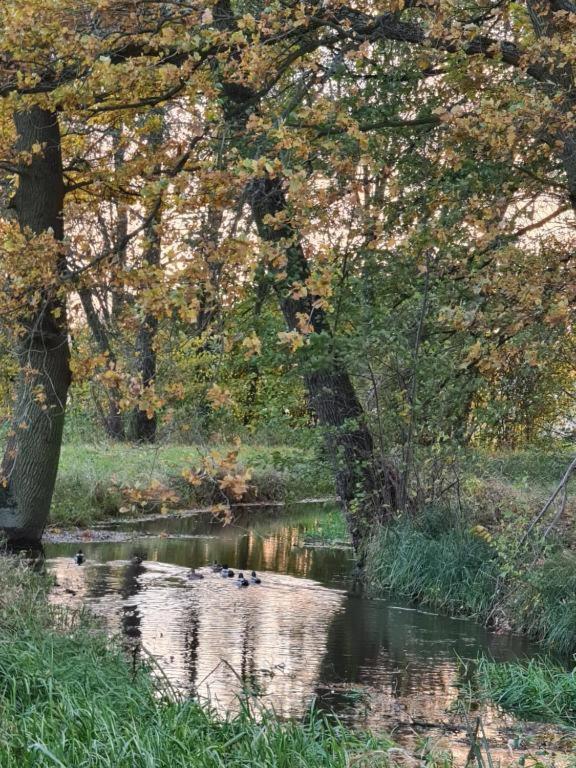 Agroturystyka U Siwego Rokitki  Екстериор снимка